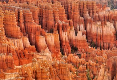 Bryce Canyon ülke. Milli Park içinde turuncu kaya.