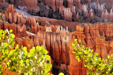 Bryce Canyon ülke. Milli Park içinde turuncu kaya.