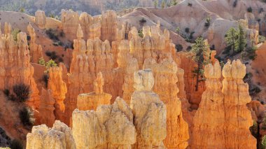 Bryce Canyon ülke. Milli Park içinde turuncu kaya.