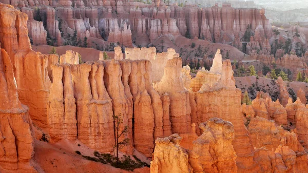 Bryce Canyon ülke. Milli Park içinde turuncu kaya.