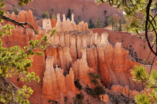 Orange rocks in Utah, USA. Bryce Canyon.