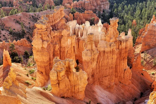 Rochas Laranja Utah Eua Bryce Canyon — Fotografia de Stock