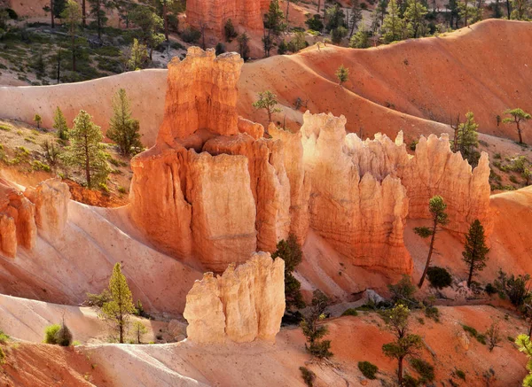 Orange rocks in Utah, USA. Bryce Canyon.