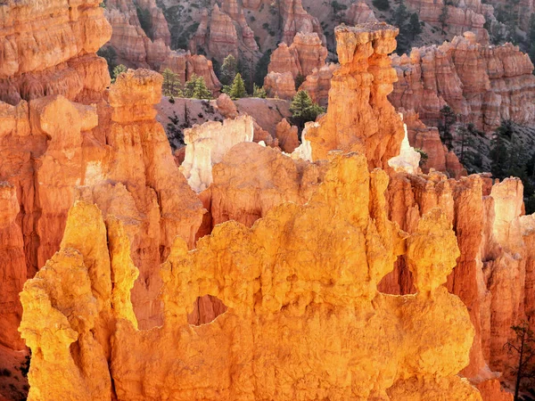 País Abstrato Bryce Canyon Utah Eua — Fotografia de Stock