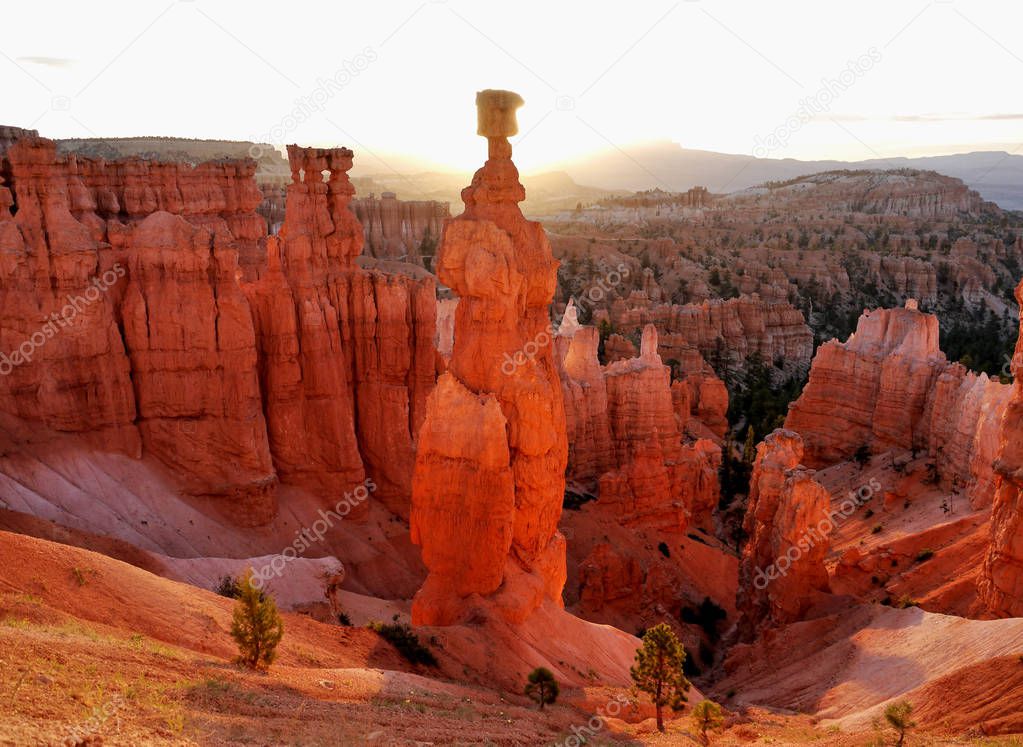 Bryce Canyon country. Orange rock in the National Park.