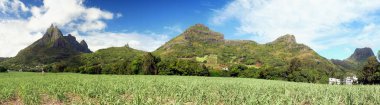 Mauritius Adası. Tropikal dağlar