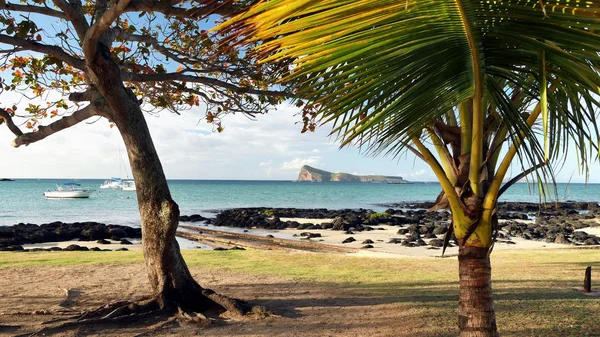 Mauritius Insel Tropischer Exotischer Strand — Stockfoto