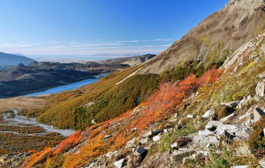 Patagonya'da karlı dağlar ve sonbahar ormanı