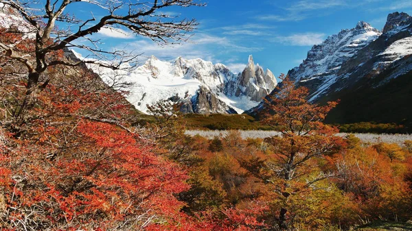 Färgade Träd Bergen Patagonien Argentina — Stockfoto