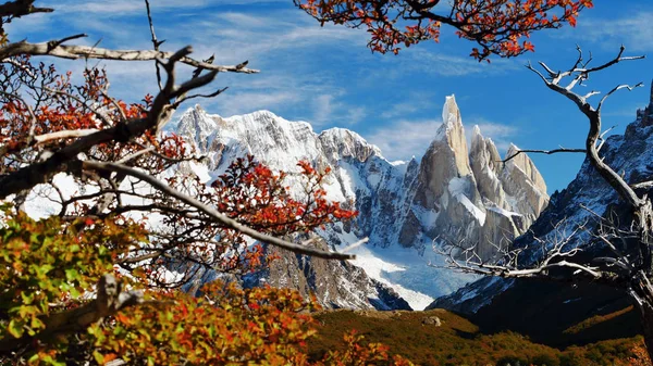 山上五彩斑斓的树木 阿根廷巴塔哥尼亚 — 图库照片
