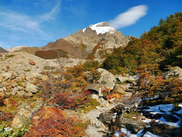 Färgade Träd Bergen Patagonien Argentina — Stockfoto