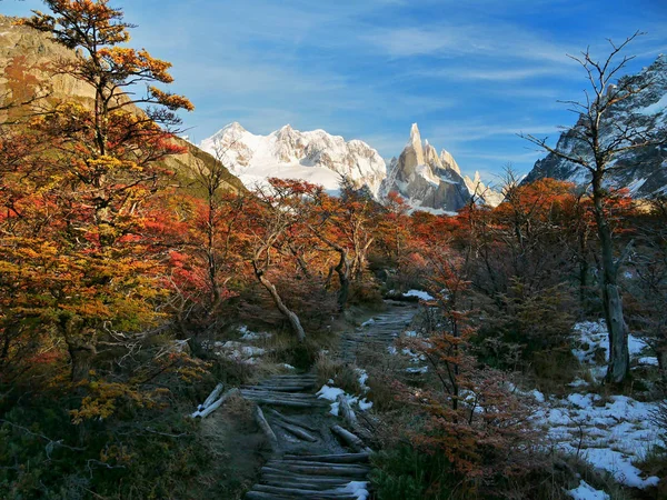 Patagonia Argentína Csodálatos Cerro Torre Mountain — Stock Fotó