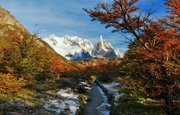 Patagônia Argentina Incrível Cerro Torre Montanha — Fotografia de Stock