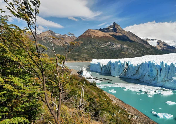Perito Moreno Buzulu Arjantin Patagonya — Stok fotoğraf