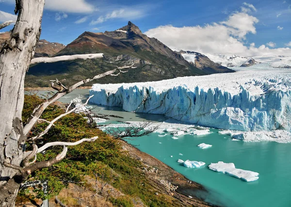 Perito Moreno Buzulu. Arjantin, Patagonya