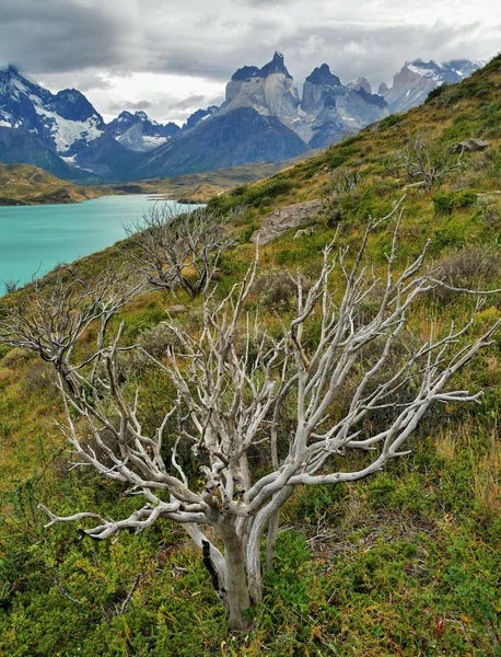 Torres Del Paine Montanhas Lago Patagônia Chile — Fotografia de Stock