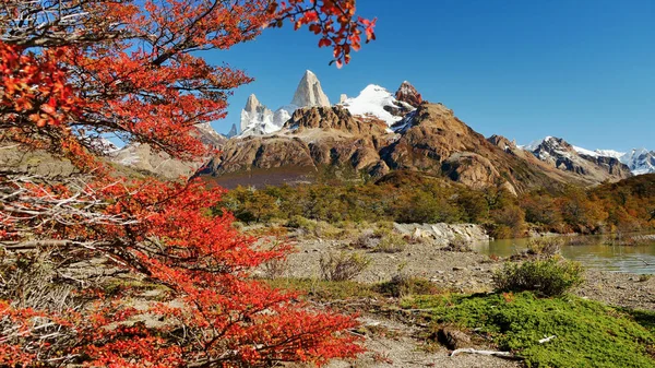 Besneeuwde Bergen Herfst Bos Patagonië — Stockfoto