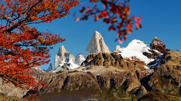 Besneeuwde Bergen Herfst Bos Patagonië — Stockfoto