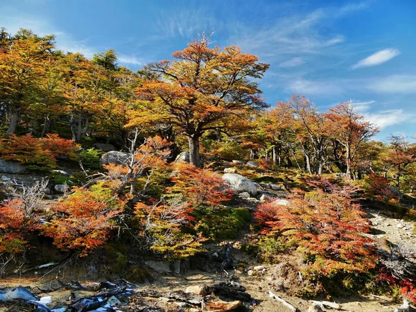 Sonbaharda Patagonia Arjantin — Stok fotoğraf