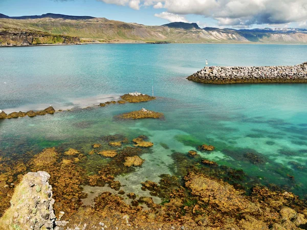 アイスランド 素晴らしい海の海岸 ビューティフル カントリー — ストック写真