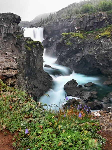 Cascada Las Montañas Islandia — Foto de Stock