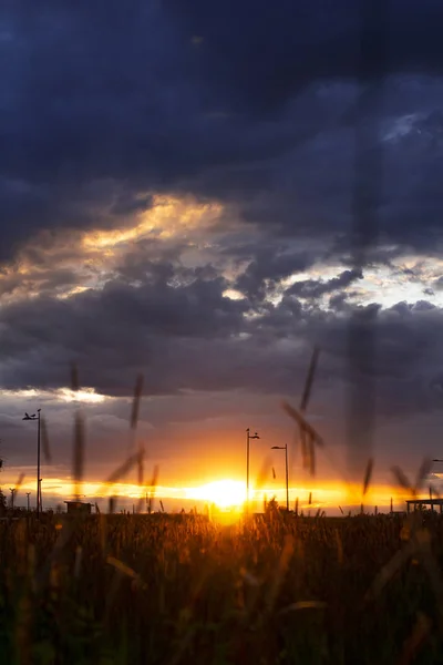 Epic cloudy sky, with sunset and a wheat field