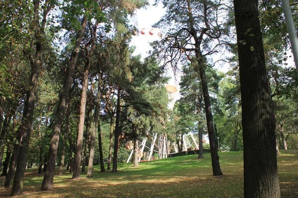Hoofdstad Van Republiek Belarus Minsk Stad Het Maxim Gorki Park — Stockfoto