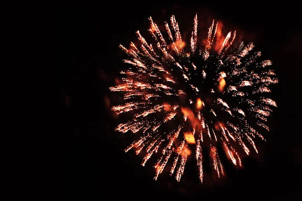 Vuurwerk Vuurwerk Een Boeket Rozen Vorm Van Heldere Kleurrijke Lichten — Stockfoto