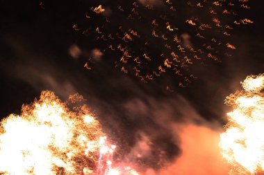 Havai fişekler. Selam. Gökyüzü arka plan renkli dalga Noel ve yeni yıl tatilleri sırasında gece gökyüzünde parlak kırmızı, sarı, yeşil ve mavi parlak ışıklar