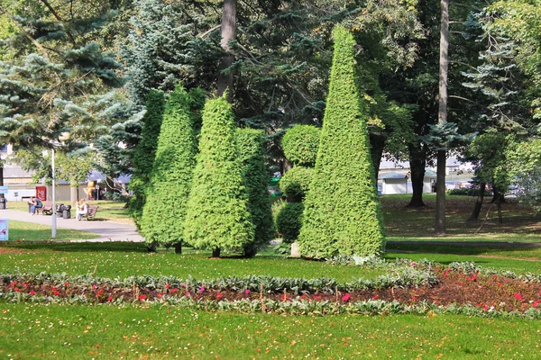Composities Met Bomen Bloemperken Van Mooie Bloemen Het Stadspark — Stockfoto