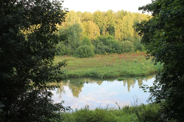 秋天的森林河景观 秋天的森林河水的场景 金色秋天森林河景观 — 图库照片