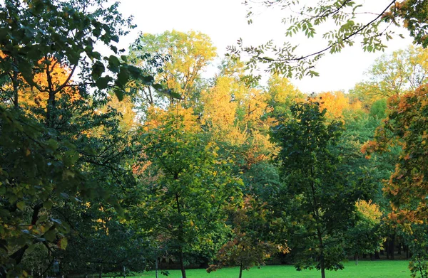 Jesienią Zabawne Kolory Jesieni Ciszę Spokój Przytulnego Kącika Parku Miejskim — Zdjęcie stockowe