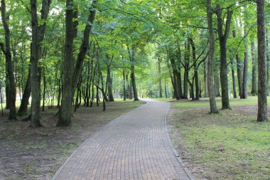 yaz. yaz renkleri eğlenceli. güzel yaz sokak