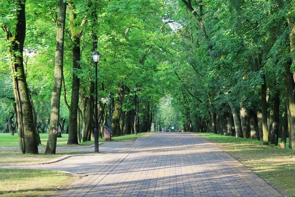 Podzim Zábava Barvy Podzimu Městský Park Připravuje Příchod Podzimu — Stock fotografie