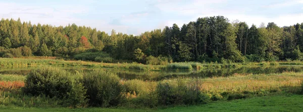 sonbahar. Sonbaharın renkleri eğlenceli. göl ve sonbahar orman Panoraması
