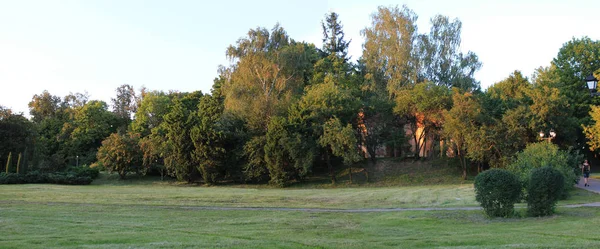 Осень Веселые Цвета Осени Панорама Края Леса Дома Скрывающегося Деревьями — стоковое фото