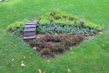  Botanik Bahçesi emblazoned bir köprü ile dekoratif flowerbed