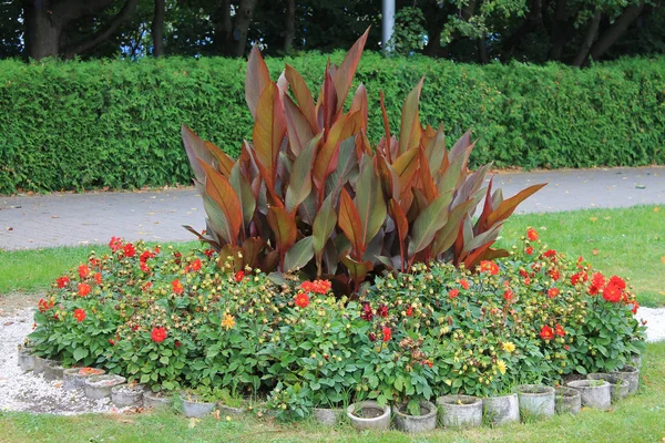 Underbara Blomsterrabatt Vid Ingången Till Botaniska Trädgården — Stockfoto