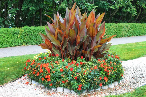 Schilderachtig Uitzicht Kleurrijke Bloemenperken Kronkelende Gazon Gras Een Mooie Engelse — Stockfoto