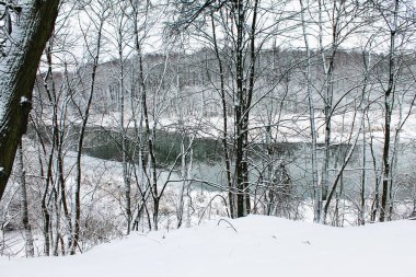 Kış. Noel ve yeni yıl. Orman Nehri ile manzara. Kış manzarası