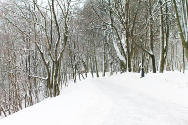 Kış. Noel ve yeni yıl. Kar sokak kış masal götürür bizi. Kış manzarası