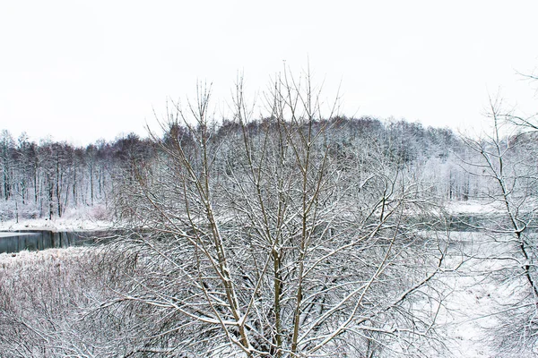 Winter. Christmas and New Year. The forest and the river sing a sweet snow song. Winter landscape