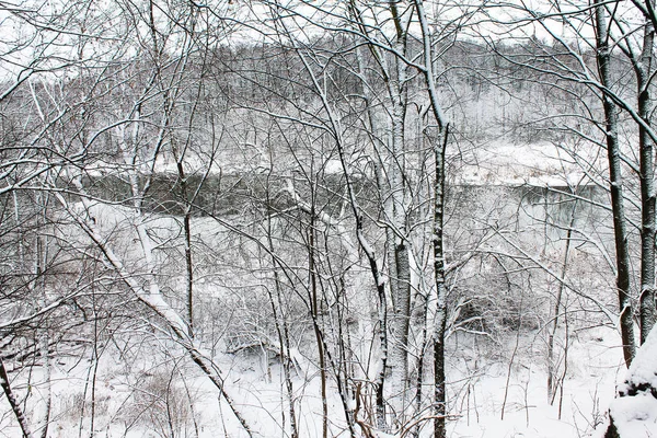 Invierno Navidad Año Nuevo Árboles Nevados Reflejados Lago Frío Paisaje Imagen de stock