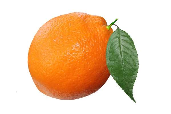 Assty Orange Früchte Auf Einem Isolierten Weißen Hintergrund Sehr Schmackhafte — Stockfoto