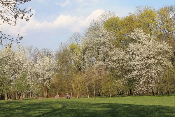 Merry springtime meets friends with flowering trees