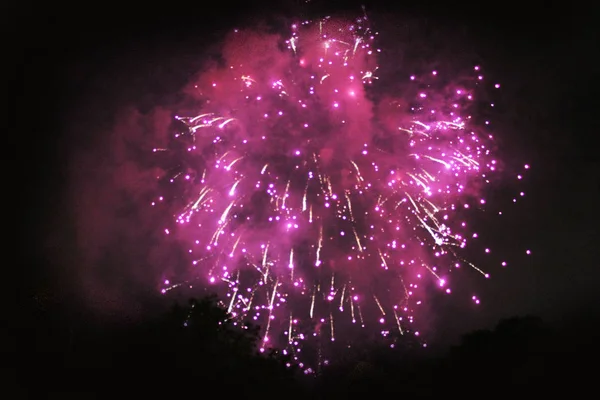 Fairy-tale projection of bright pink firework lights. during Halloween, Christmas, Independence Day, New Year.