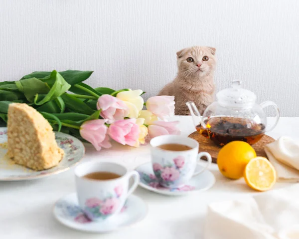 Tea party with cat. Homemade cake, lemon, teapot and tulips on the background. Copy space. Mother\'s day concept