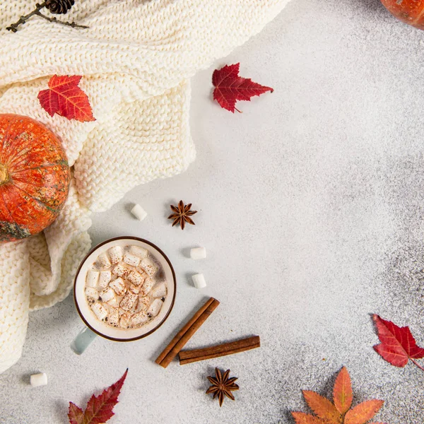 Cozy autumn flat lay with mug of hot cocoa with murshmallows, autumn leaves, pumpkins, anise stars on grey background. Copy space for text. Fall, Thanksgiving, greeting card concept.