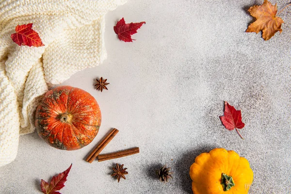 Thanksgiving background: pumpkins, knitted plaid and fallen leaves on grey background. Copy space for text. Halloween, Thanksgiving day or seasonal autumnal. Design mock up. Cozy fall