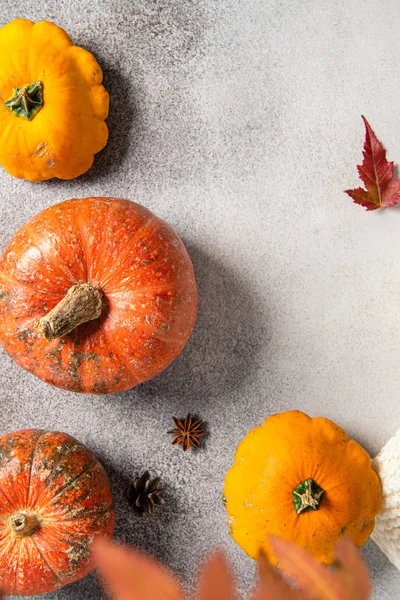 Thanksgiving background: pumpkins and fallen leaves on grey background. Copy space for text. Halloween, Thanksgiving day or seasonal autumnal. Design mock up. Cozy fall, top view, copy space